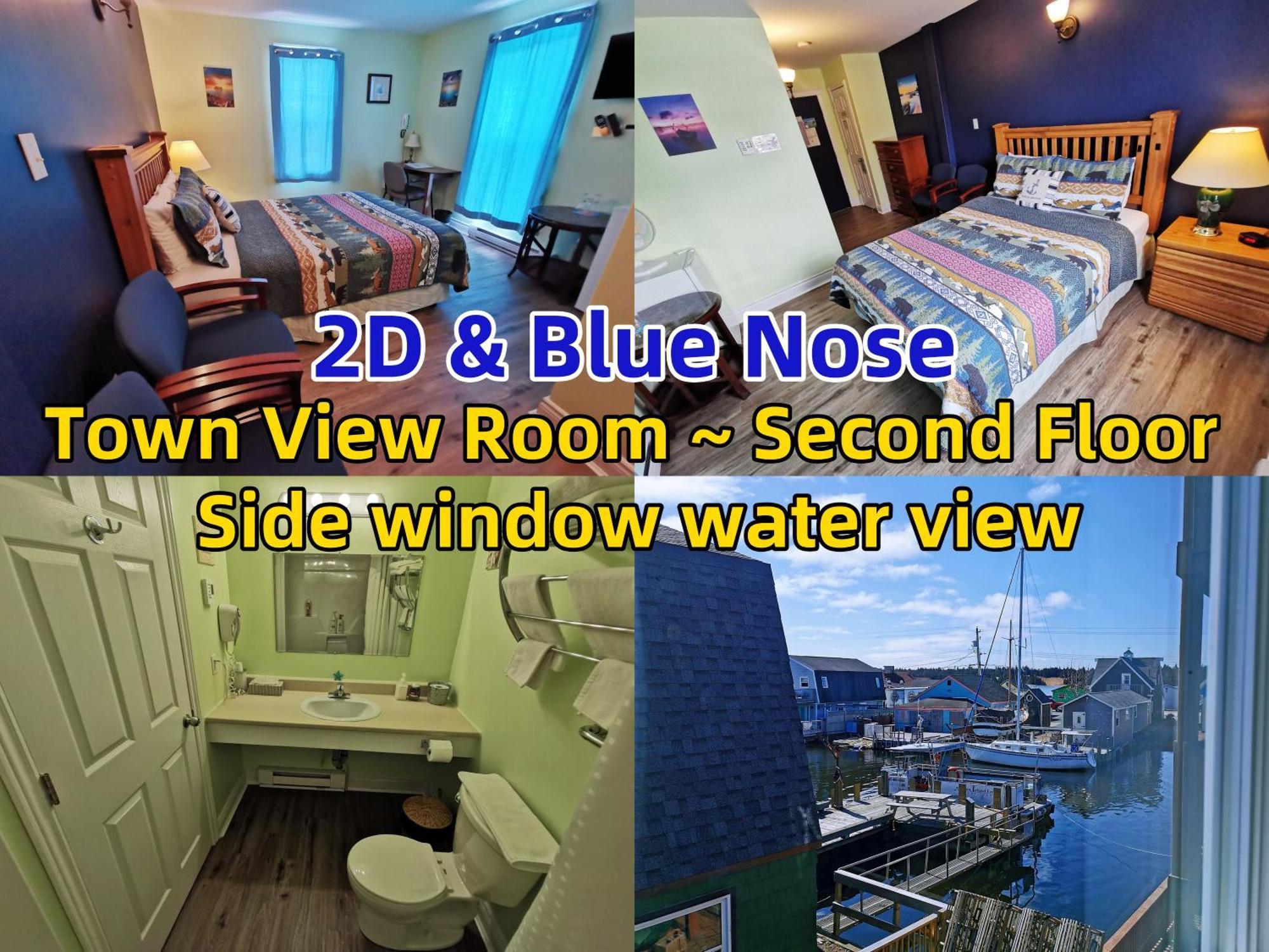 Town View Room side window water view Blue Nose & 2D,1502884387:JPEG